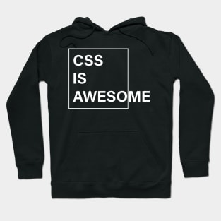 CSS Is Awesome Hoodie